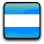Argentina Flag Icon