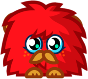 Scarlet O'Haira the Fluffy Snuggler Front Paws In Front Of Mouth