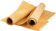 Papyrus Rolls