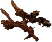 Two Pieces Of Driftwood