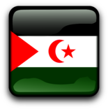 Western Sahara Flag Icon
