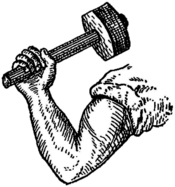 Arm & Hammer Black and White 