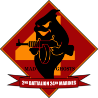 2nd Battalion 24th Marine Regiment USMCR