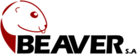 Beaver