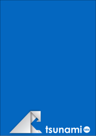 Tsunami Labs