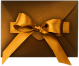Gift Envelope With Gold Coloured Ribbon