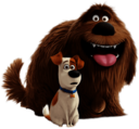 The Secret Life Of Pets Max and Duke