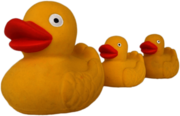Rubber Duck Family