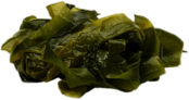 Seaweed Leaves