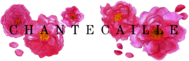 Chantecaille flower 