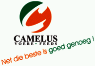 Camelius