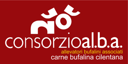consorzio alba