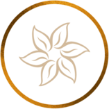 instagram icon gold beauty