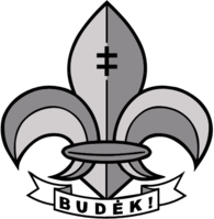 Scout Association of Lithuanian