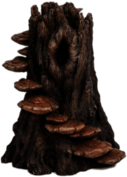 Tree Trunk With Mushroom Steps