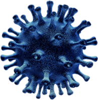 Flu Virus Cell