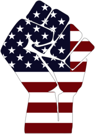 American Fist USA