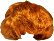 Trump Wig