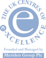 The UK Centres of e xcellence