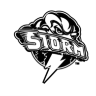 Lake Elsinore Storm