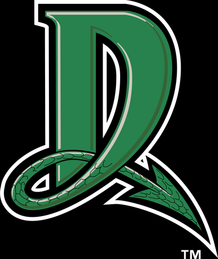 Dayton Dragons