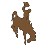 Wyoming Cowboys