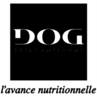 Dog International