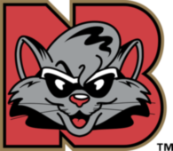 New Britain Rock Cats