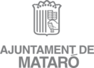 Ajuntament De Mataro 49720