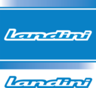 Landini