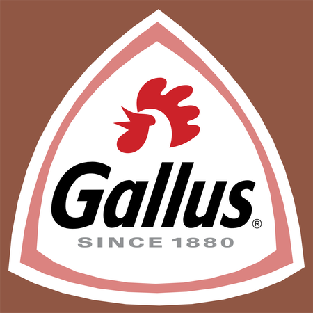Gallus