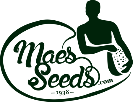Maes Seeds