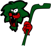 Revierlöwen Oberhausen 