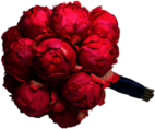 Bouquet Of Dark Pink Peonies
