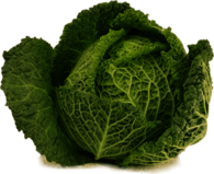 Open Cabbage