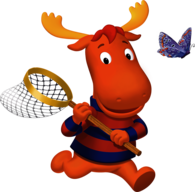 Tyrone Chasing Butterfly