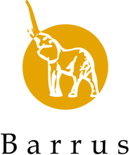 Barrus Real Estate Group