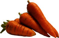 A Few Carrots