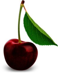Cherry Single