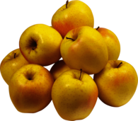 Apple Cameo Yellow Group