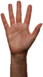 Finger Counting Five Copy