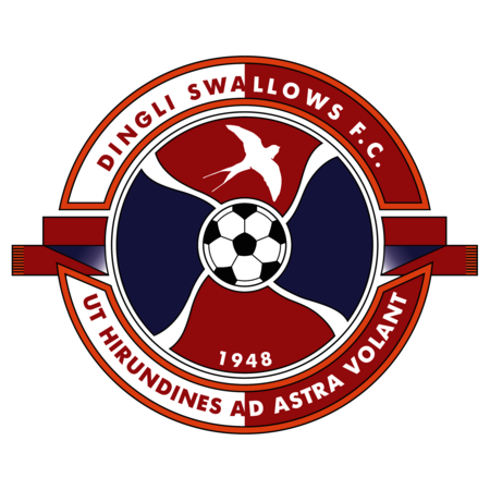 Dingli Swallows FC