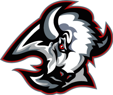 Buffalo Sabres