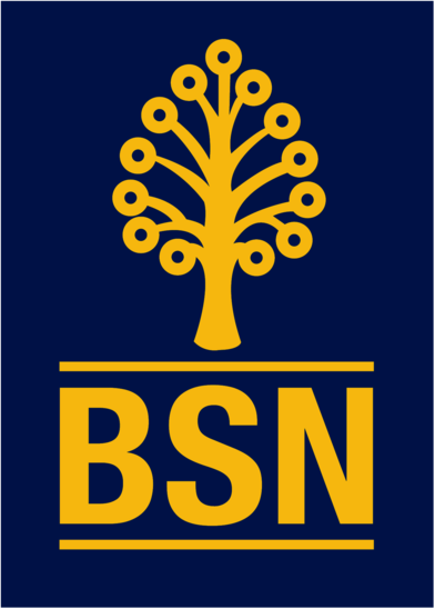 bank simpanan nasional (BSN)
