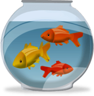 Fish Bowl With Fish