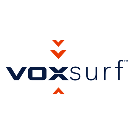 VoxSurf Limited