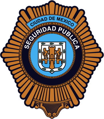 Seguridad Publica Cd de Mex