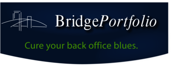 Bridge Portfolio