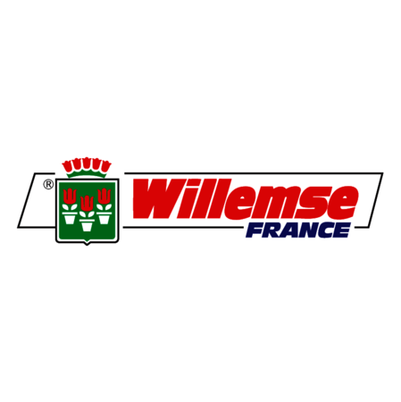 Willemse France