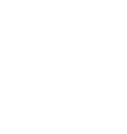 White Snowflake